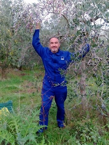 io nelle olive